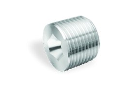 Hallow Hex Plug